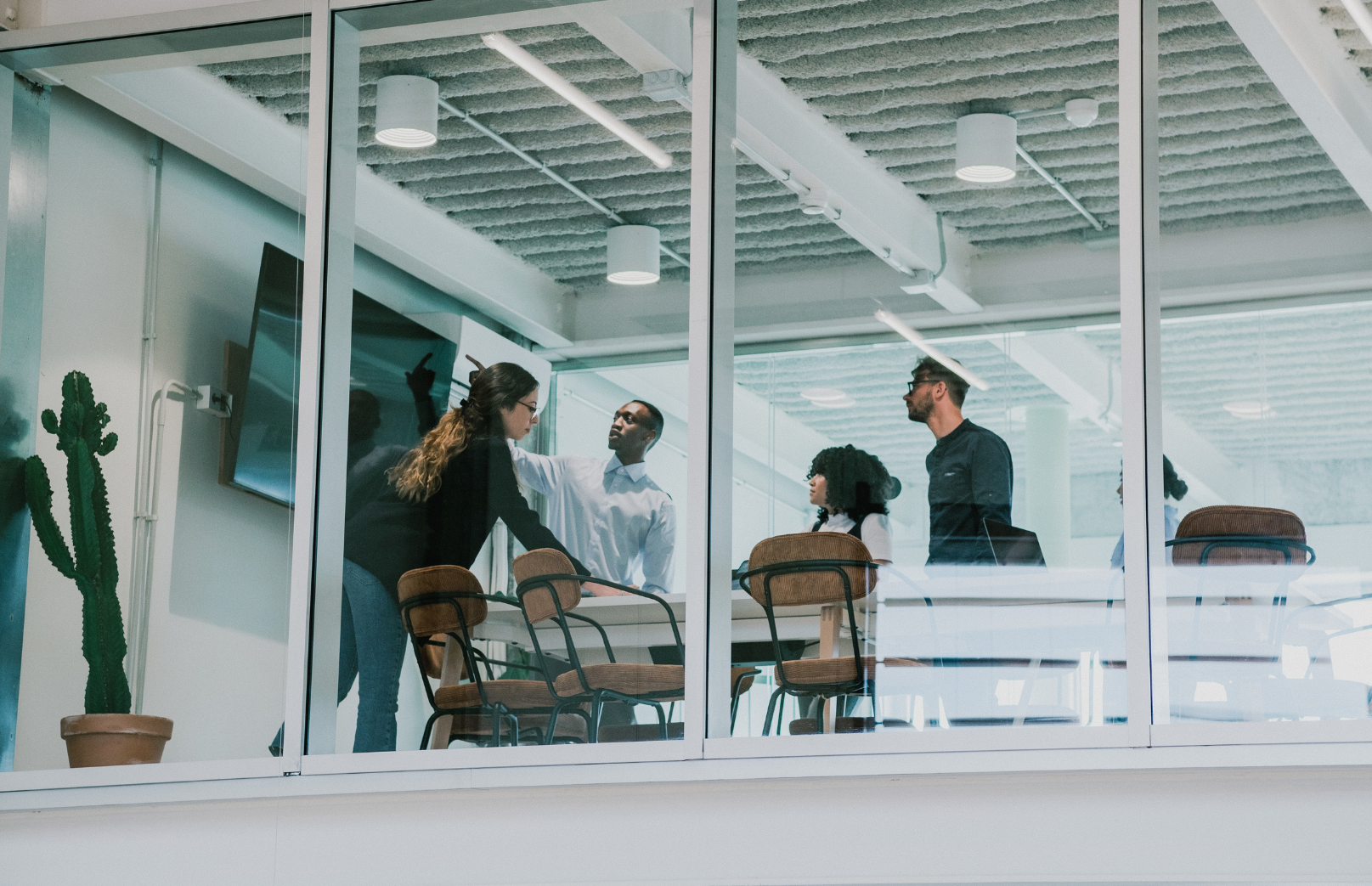 A diverse group of professionals engaged in a collaborative discussion inside a glass-walled conference room, with a cactus plant in the foreground.